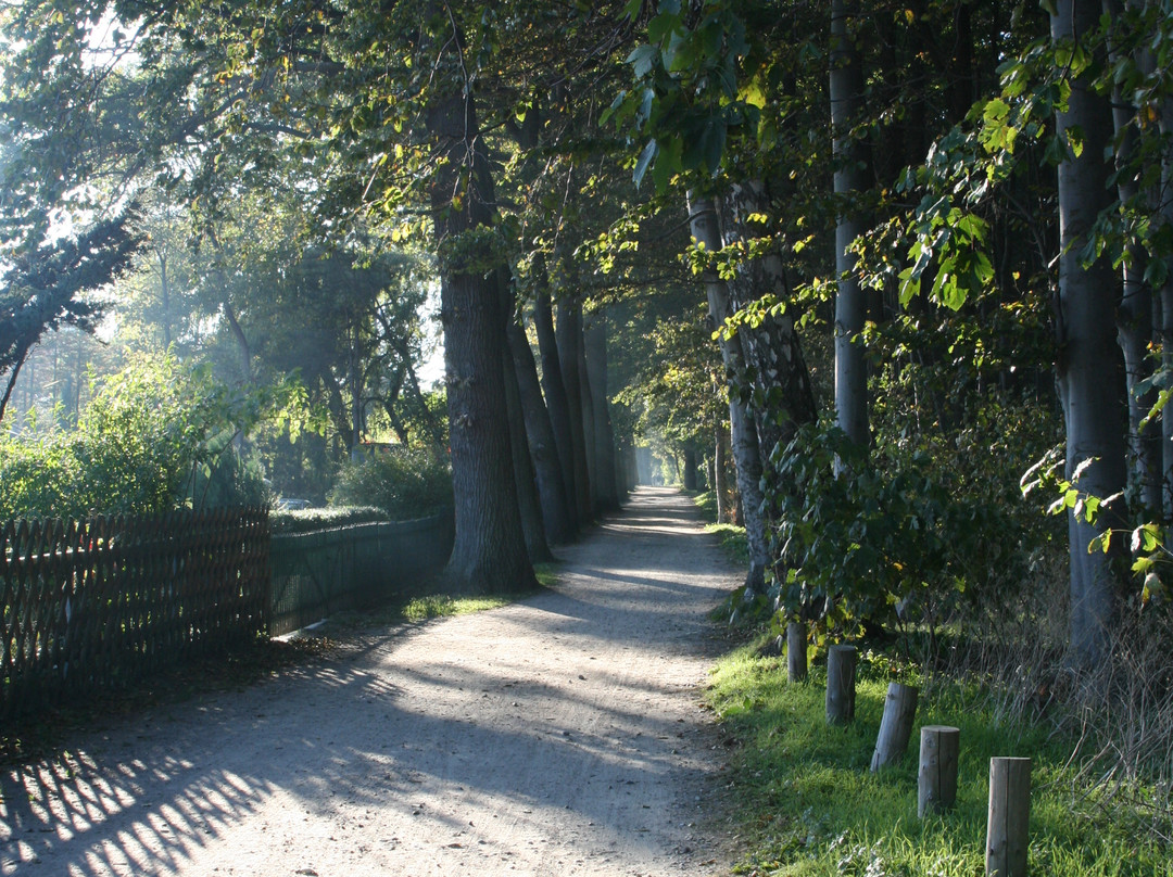 Landhotel Ostseetraum & Ferienwohnungen主图
