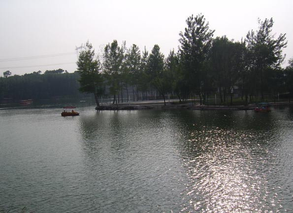 洞林湖-荥阳市必去景点