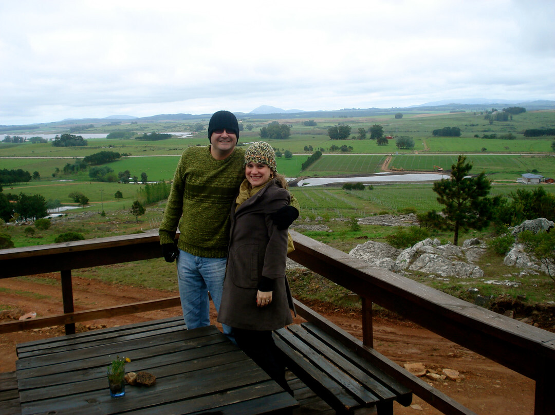 The Wine Experience-Punta Ballena必去景点