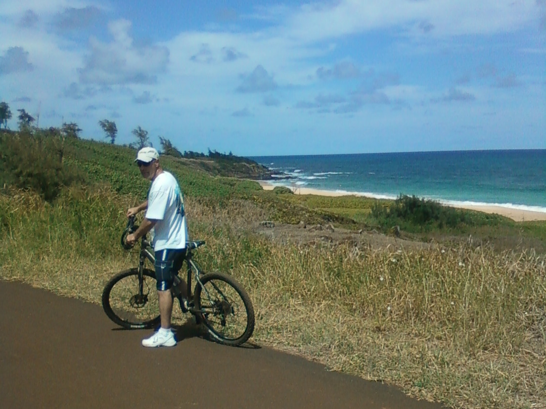 Coconut Coasters Beach Bike Rentals-卡帕阿必去景点