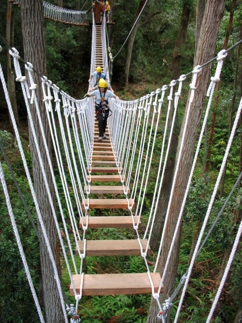 Kohala Zipline-哈威必去景点