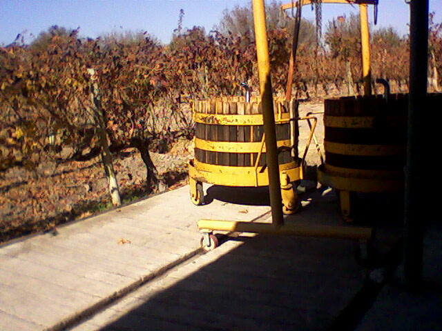 Bodega Las Marianas景点图片