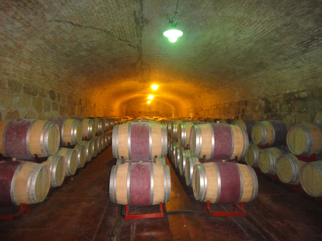 Uncorking Argentina-门多萨必去景点