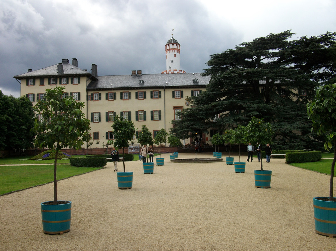 Bad Homburg Palace (Landgraves' Castle & Castle Park)景点图片