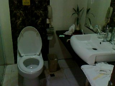 东春大酒店主图