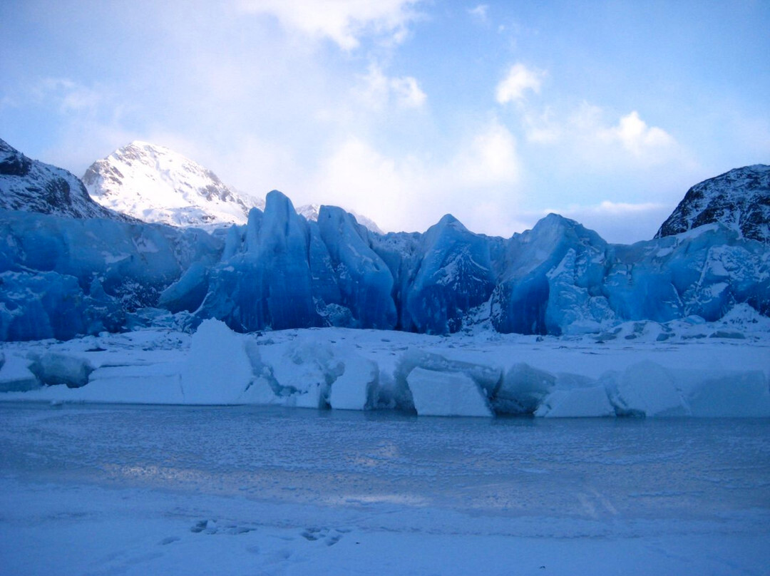 Halibut Cove Adventures-Halibut Cove必去景点