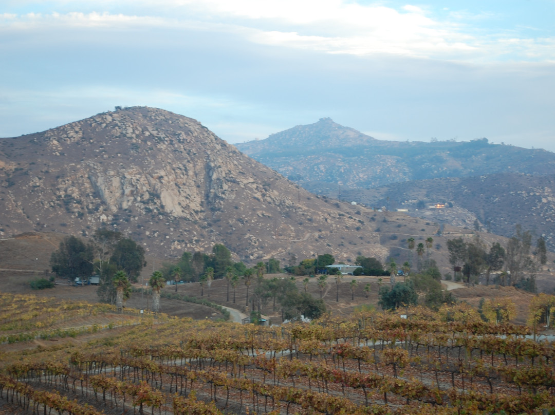 Orfila Vineyards & Winery景点图片