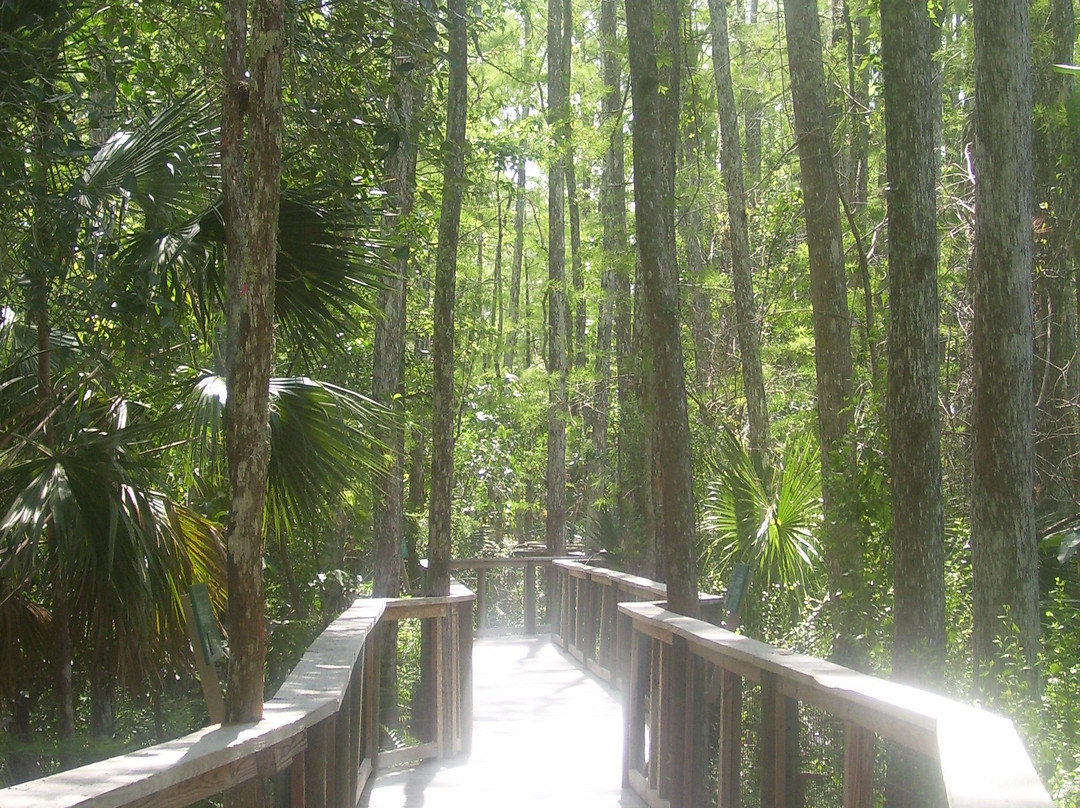 Ah-Tah-Thi-Ki Museum-克莱维斯顿必去景点