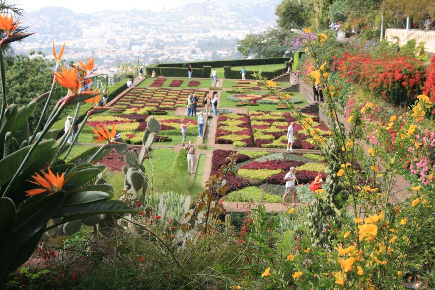Madeira Botanical Garden-沙尔必去景点