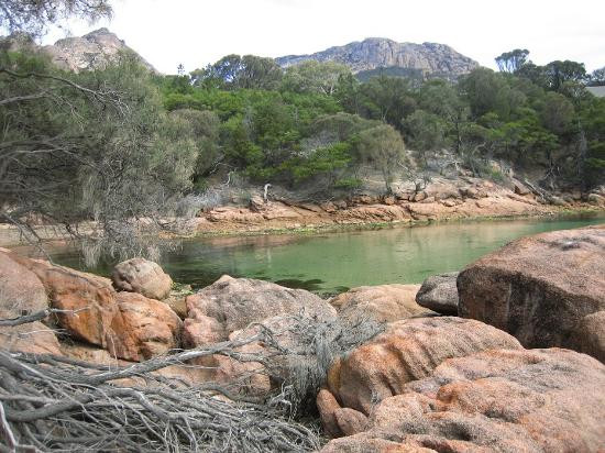 观菲欣纳海洋农场-科尔斯湾必去景点