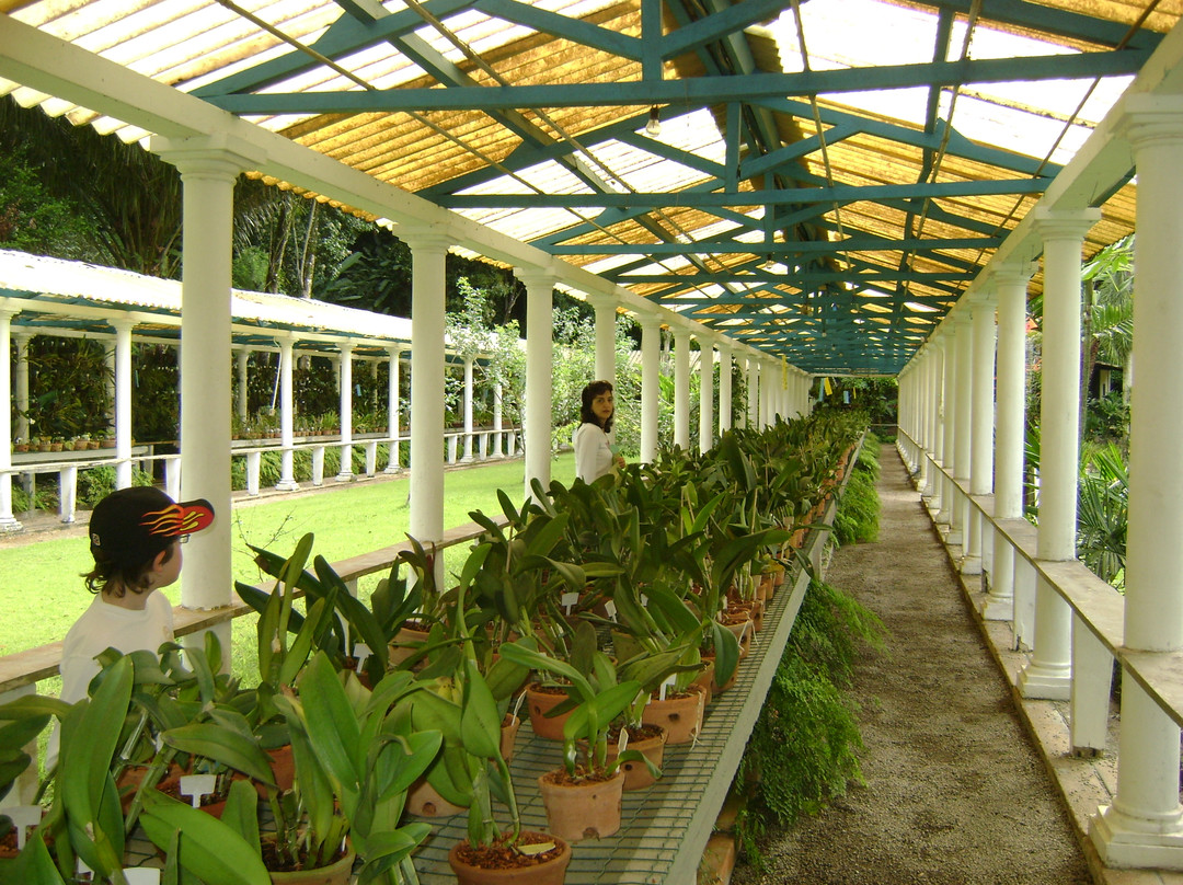 Botanical Garden景点图片