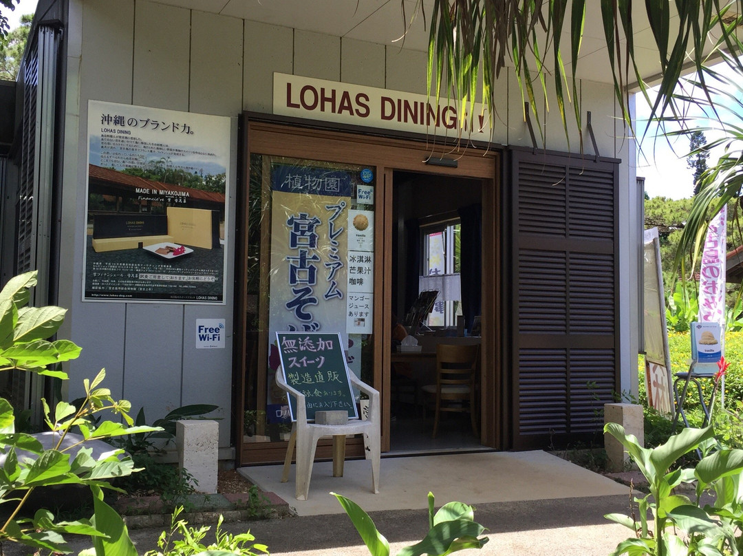 ロハスダイニング宮古島