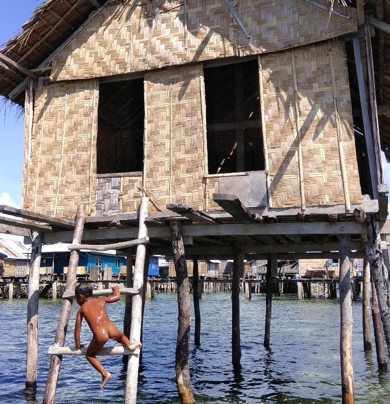 Wakatobi Dive Trip景点图片