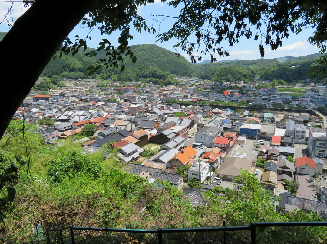 Gohongatake Castle Ruins景点图片