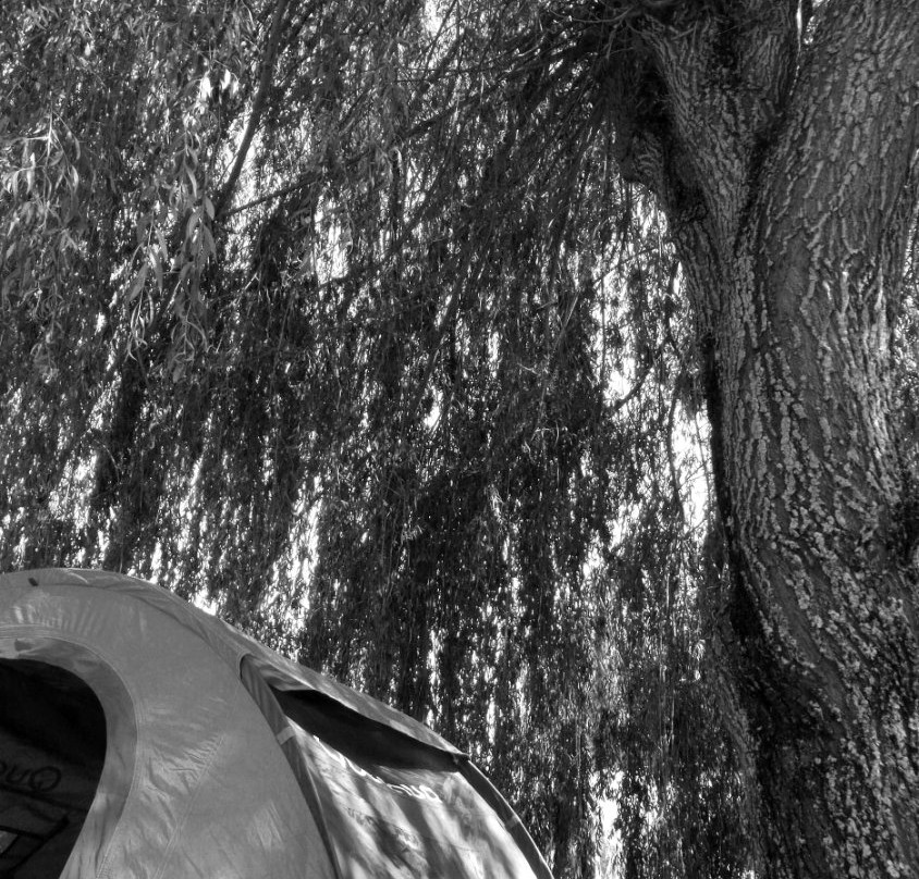 Camping Municipal le Grand Canyon