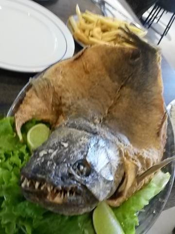 Trairagem Restaurante e Bar Itatiba, A Casa do Peixe