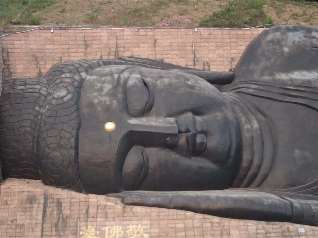 三水森林公园-佛山市必去景点