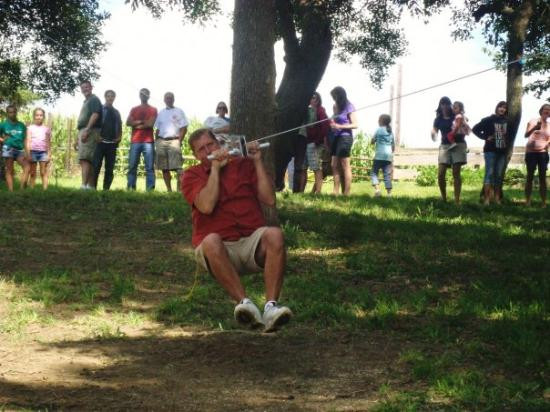 Carroll旅游攻略图片