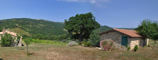 Agriturismo Piandartino