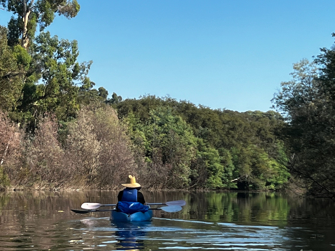 Jamieson Kayak Rental-Jamieson必去景点