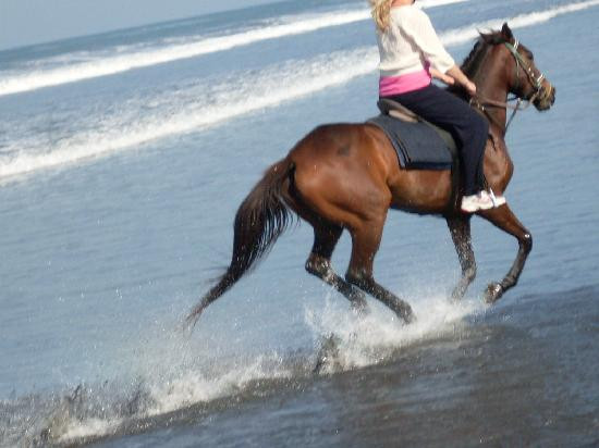 巴厘岛骑马游沙滩-达巴南必去景点