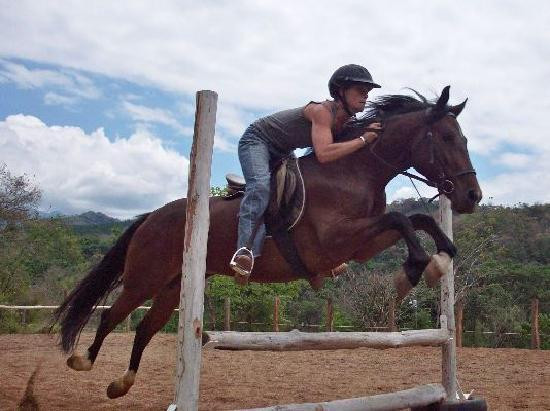 Establo San Rafael Natural Horsemanship景点图片