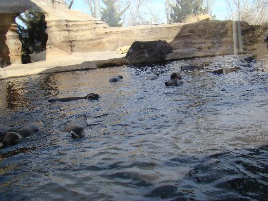 Sedgwick County Zoo景点图片