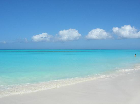 Caicos Dream Tours-普罗维登西亚莱斯必去景点