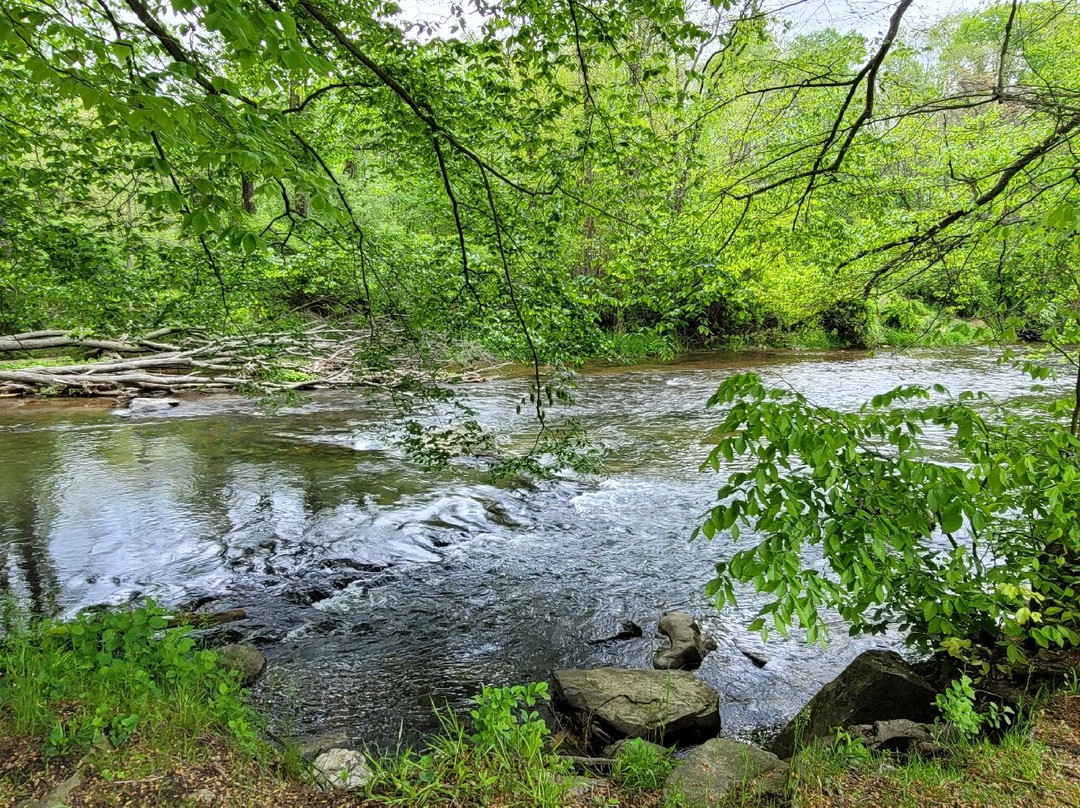 Deer Creek Conservation Area-Forest Hill必去景点