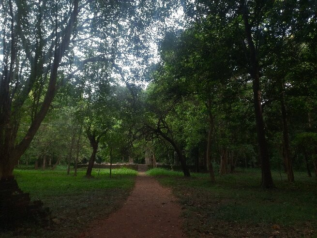 Menikdena Archaeological Reserve and Arboretum景点图片