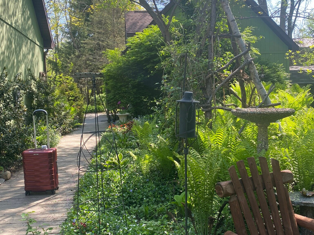 At Home In The Woods Bed And Breakfast主图