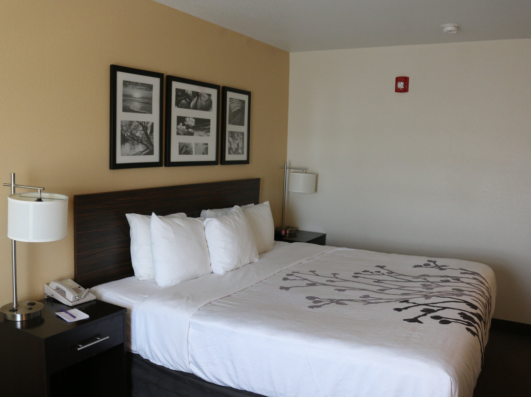 Sleep Inn & Suites Carlsbad Caverns Area主图