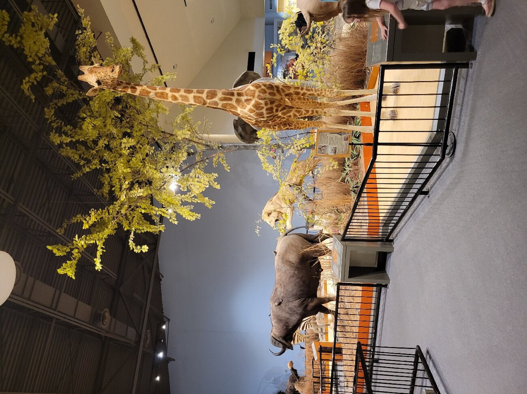 Great Plains Zoo-苏福尔斯必去景点