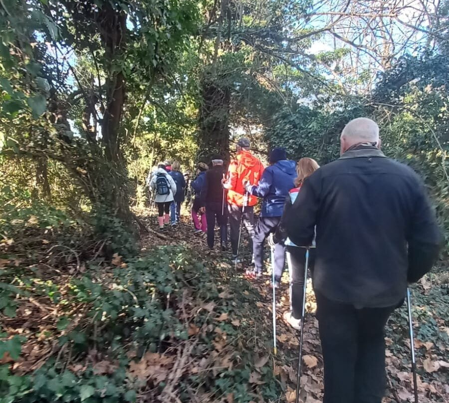 Parco Regionale di Interesse Locale del Reghena, Lemene e Laghi di Cinto景点图片