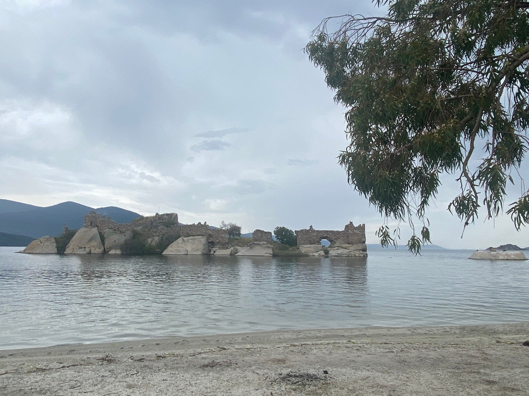 Lake Bafa Nature Park景点图片