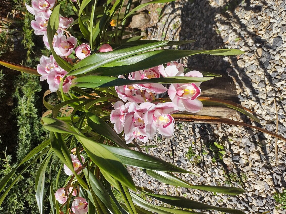 Pousada Ver o Vento主图