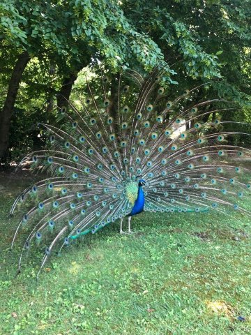 少年公园酒店-浴室