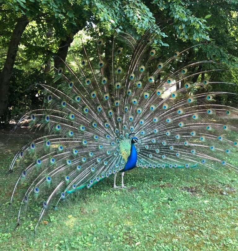 少年公园酒店主图