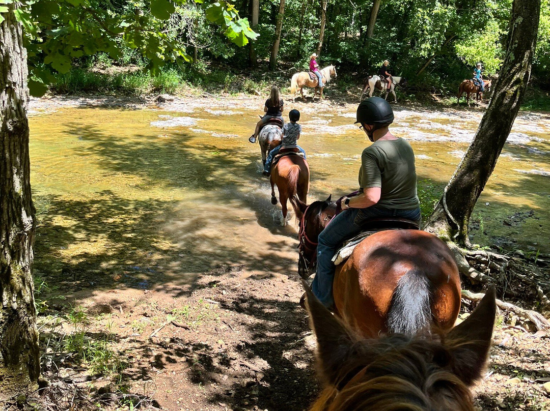 Bear Creek Trail Rides and Stable-Walnut Shade必去景点