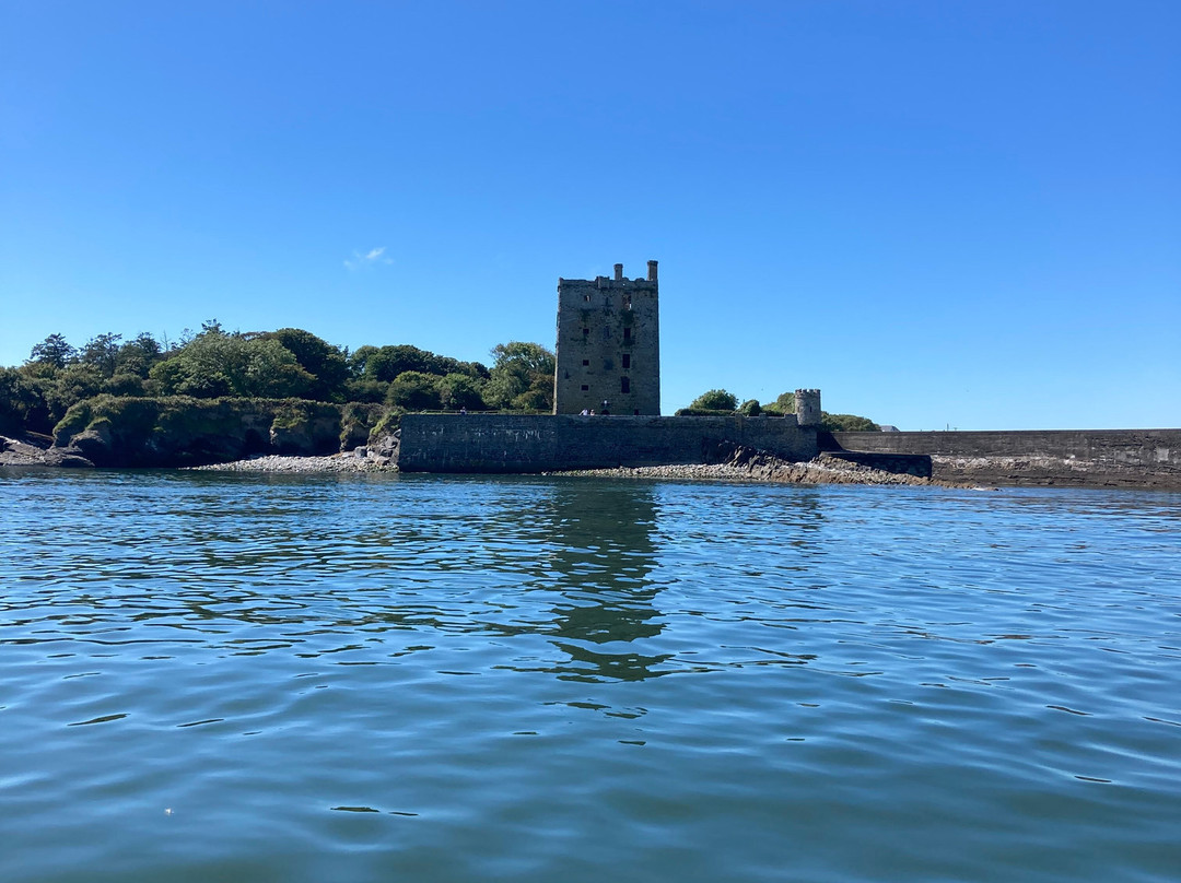 West Coast RIB Adventures-Kilrush必去景点