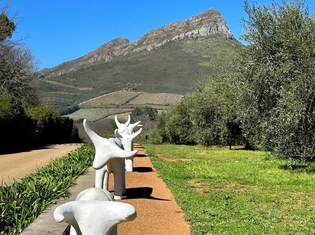 Thelema Mountain Vineyards-斯泰伦博斯必去景点