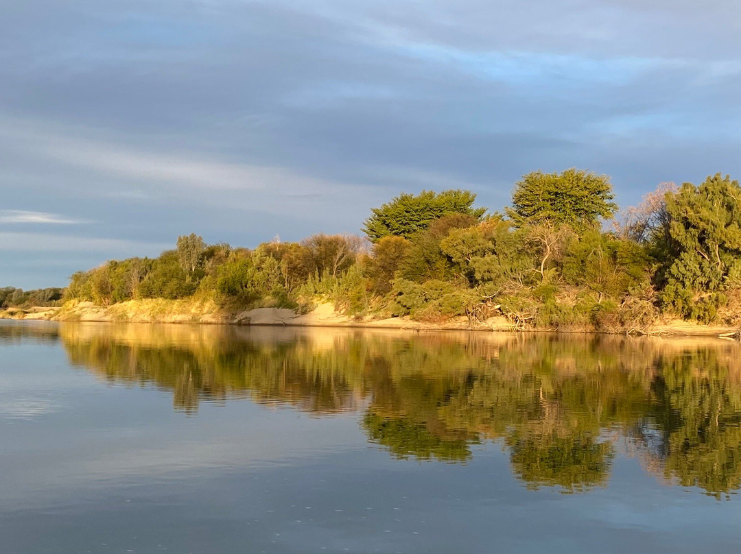 Sakkie Se Arkie-阿平顿必去景点