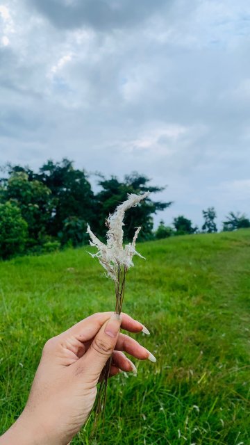 杜利凯尔山私人有限度假村-官方