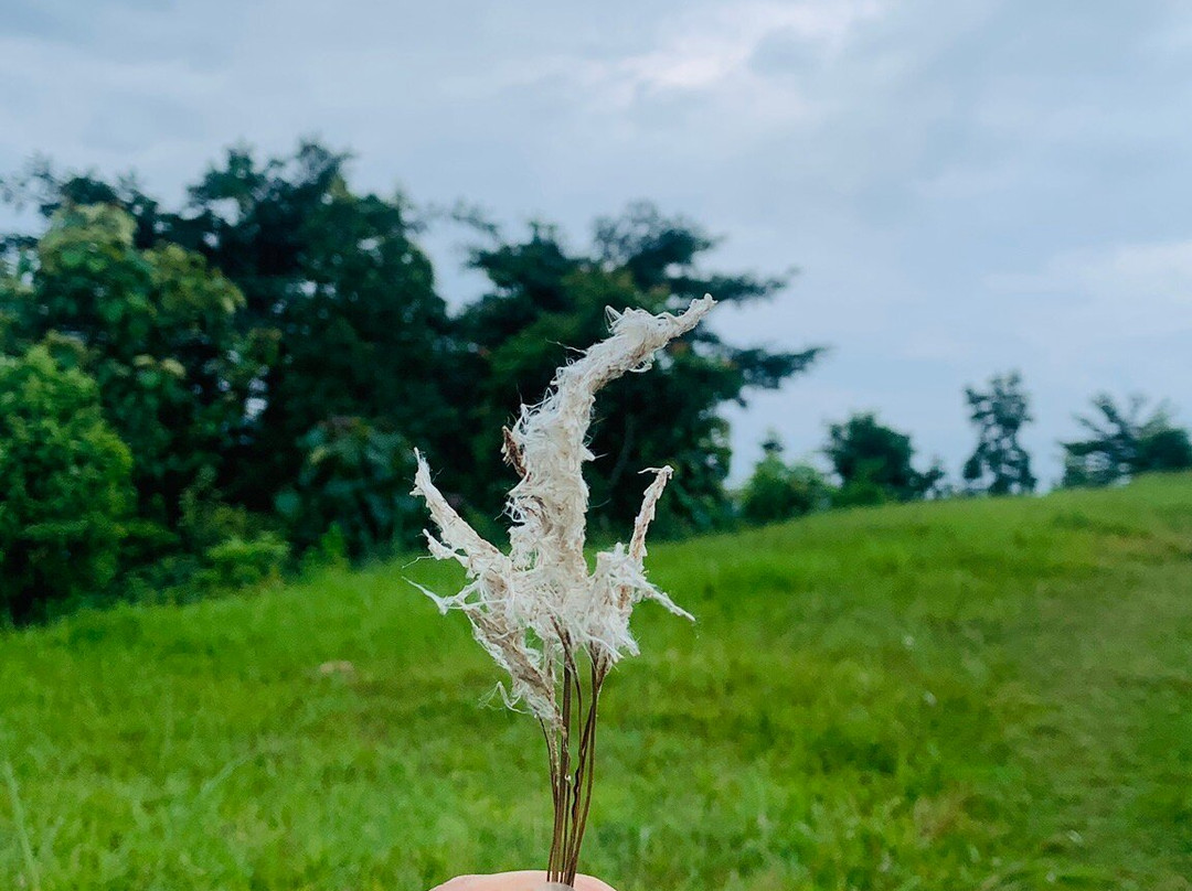 杜利克尔山度假酒店主图