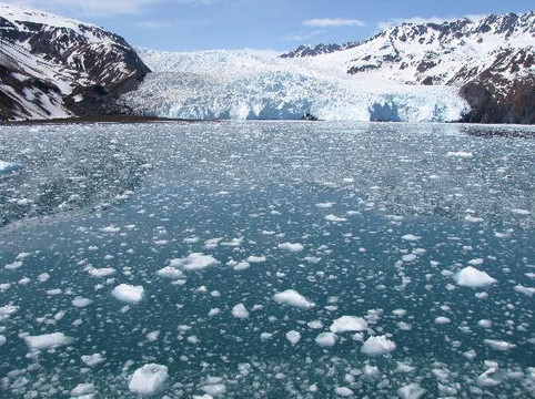Renown Glacier Cruises & Tours-苏厄德必去景点