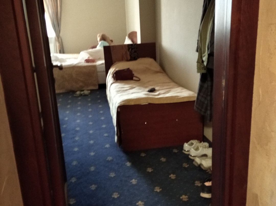 Tosno Hotel主图