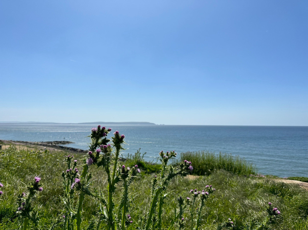 Barton on Sea beach景点图片
