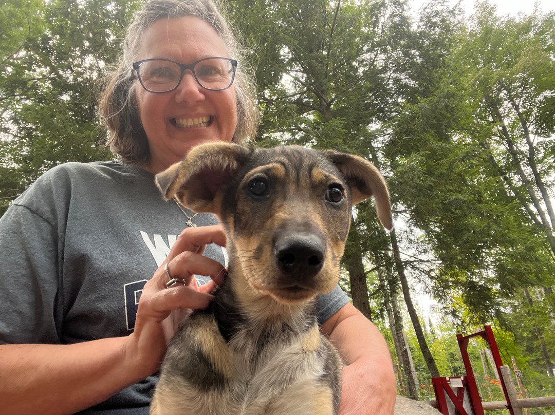 MIDOG - Michigan's Summer Sled Dog Center景点图片