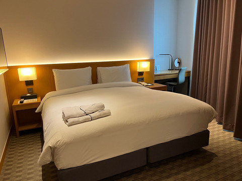 Sotetsu Hotels The Splaisir Seoul Dongdaemun主图