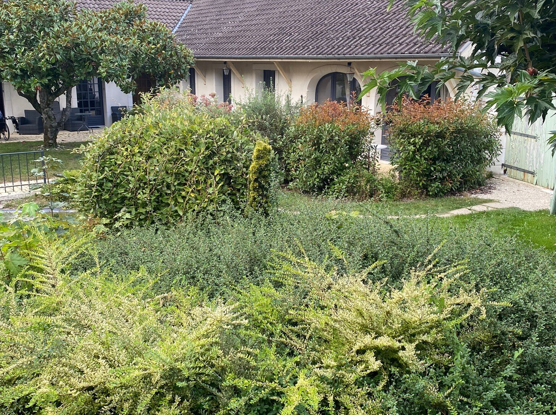 Logis Hôtel la Vinaigrerie主图